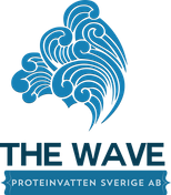 The Wave- Protein Water